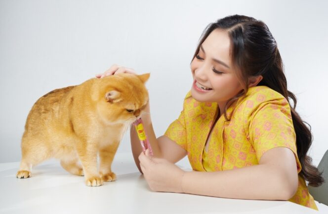 
 Cara Nagita Slavina Ciptakan Bonding dengan Kucing-Kucing Kesayangannya